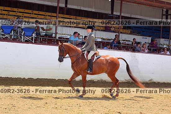 Proof 09r2-3626