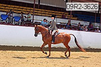 09r2-3626 proof