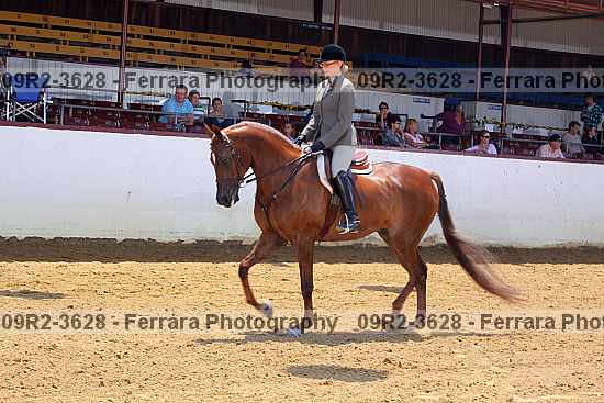 Proof 09r2-3628