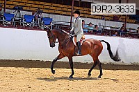 09r2-3633 proof