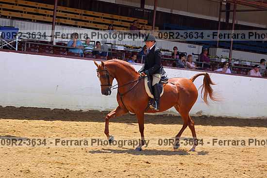 Proof 09r2-3634