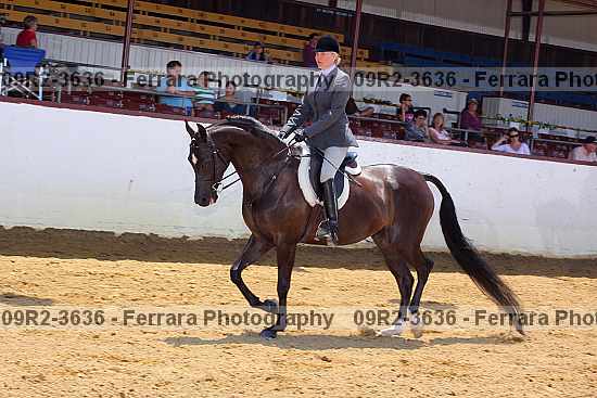Proof 09r2-3636
