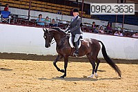 09r2-3636 proof