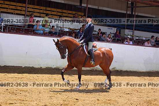 Proof 09r2-3638