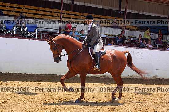 Proof 09r2-3640
