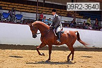 09r2-3640 proof