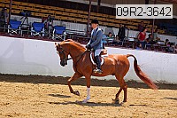 09r2-3642 proof