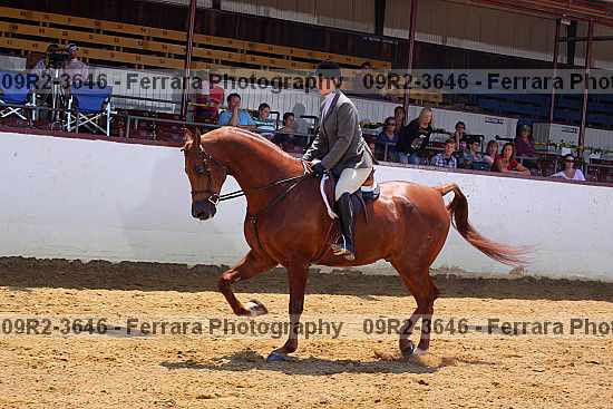 Proof 09r2-3646