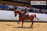 09r2-3646 proof