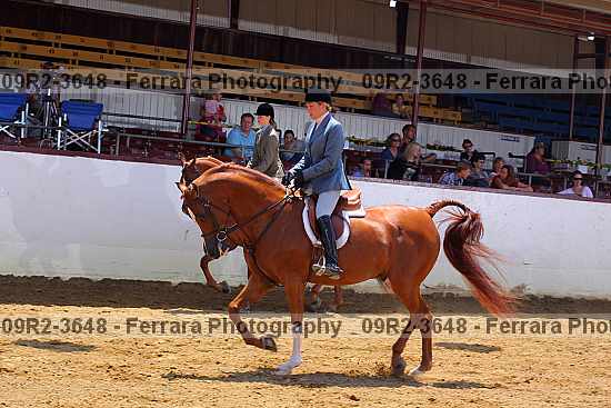 Proof 09r2-3648