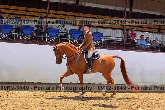 Proof 09r2-3649