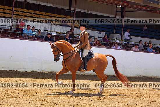 Proof 09r2-3654