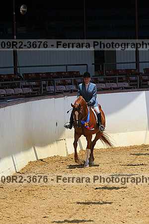 Proof 09r2-3676
