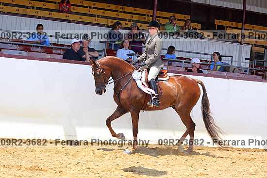 Proof 09r2-3682