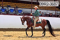 09r2-3687 proof
