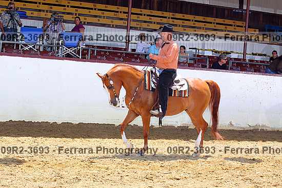Proof 09r2-3693
