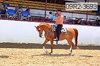 09r2-3693 proof