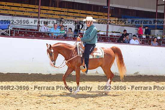 Proof 09r2-3696