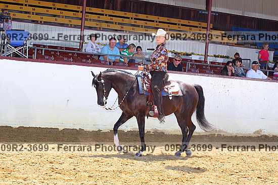 Proof 09r2-3699