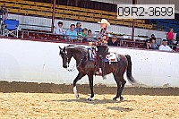 09r2-3699 proof