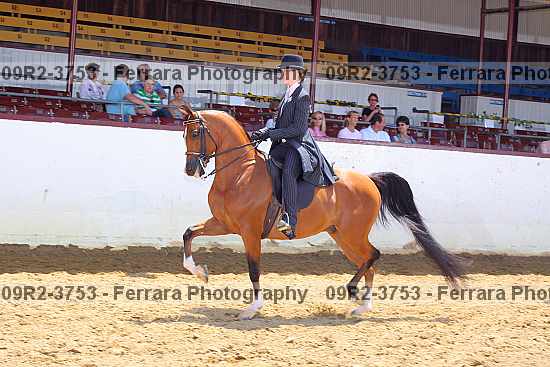 Proof 09r2-3753