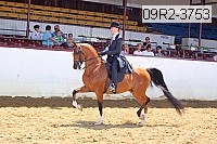 09r2-3753 proof