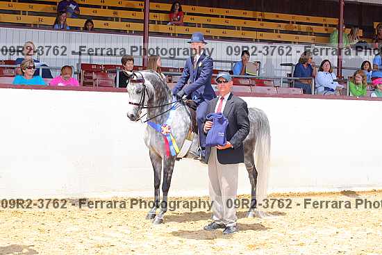 Proof 09r2-3762