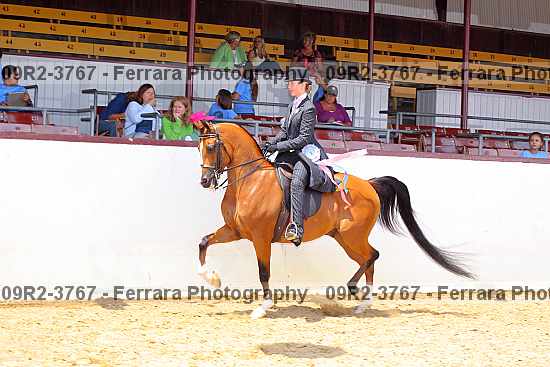 Proof 09r2-3767