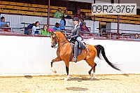 09r2-3767 proof