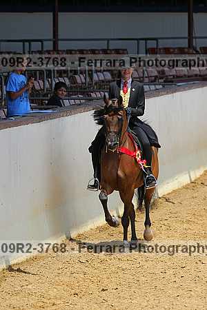 Proof 09r2-3768