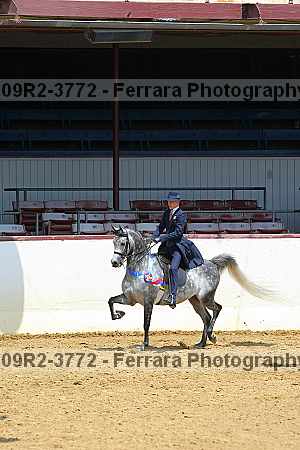 Proof 09r2-3772