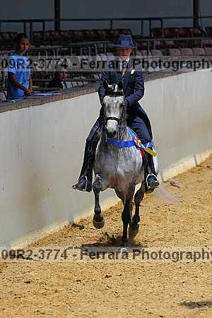 Proof 09r2-3774