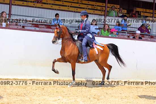 Proof 09r2-3776