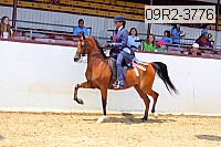 09r2-3776 proof