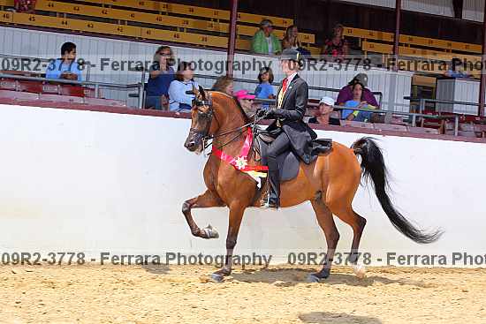 Proof 09r2-3778