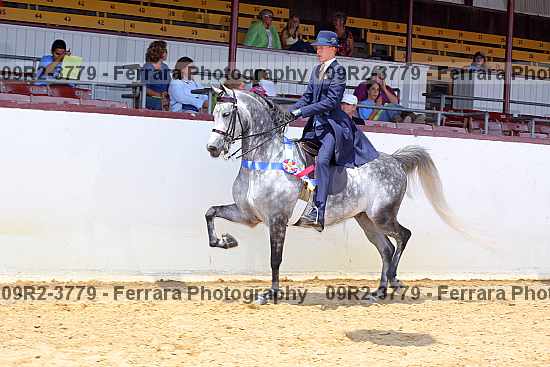 Proof 09r2-3779