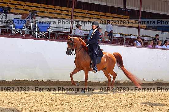 Proof 09r2-3783