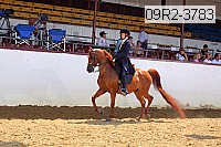09r2-3783 proof