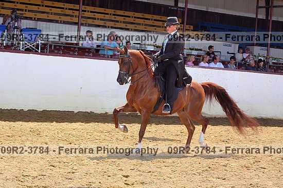 Proof 09r2-3784