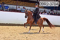09r2-3784 proof