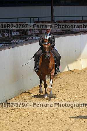 Proof 09r2-3797