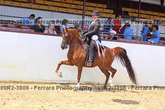 Proof 09r2-3806