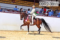 09r2-3811 proof