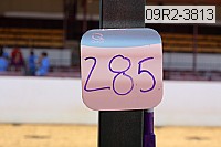 09r2-3813 proof