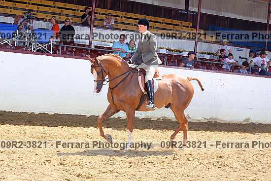 Proof 09r2-3821