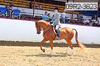 09r2-3823 proof