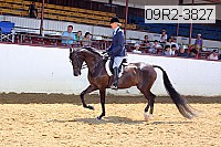 09r2-3827 proof