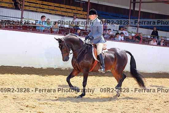 Proof 09r2-3828