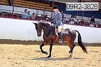 09r2-3828 proof