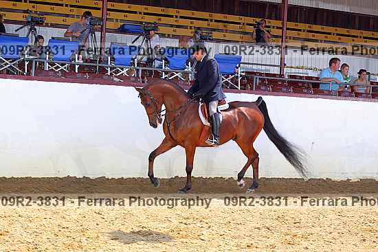 Proof 09r2-3831